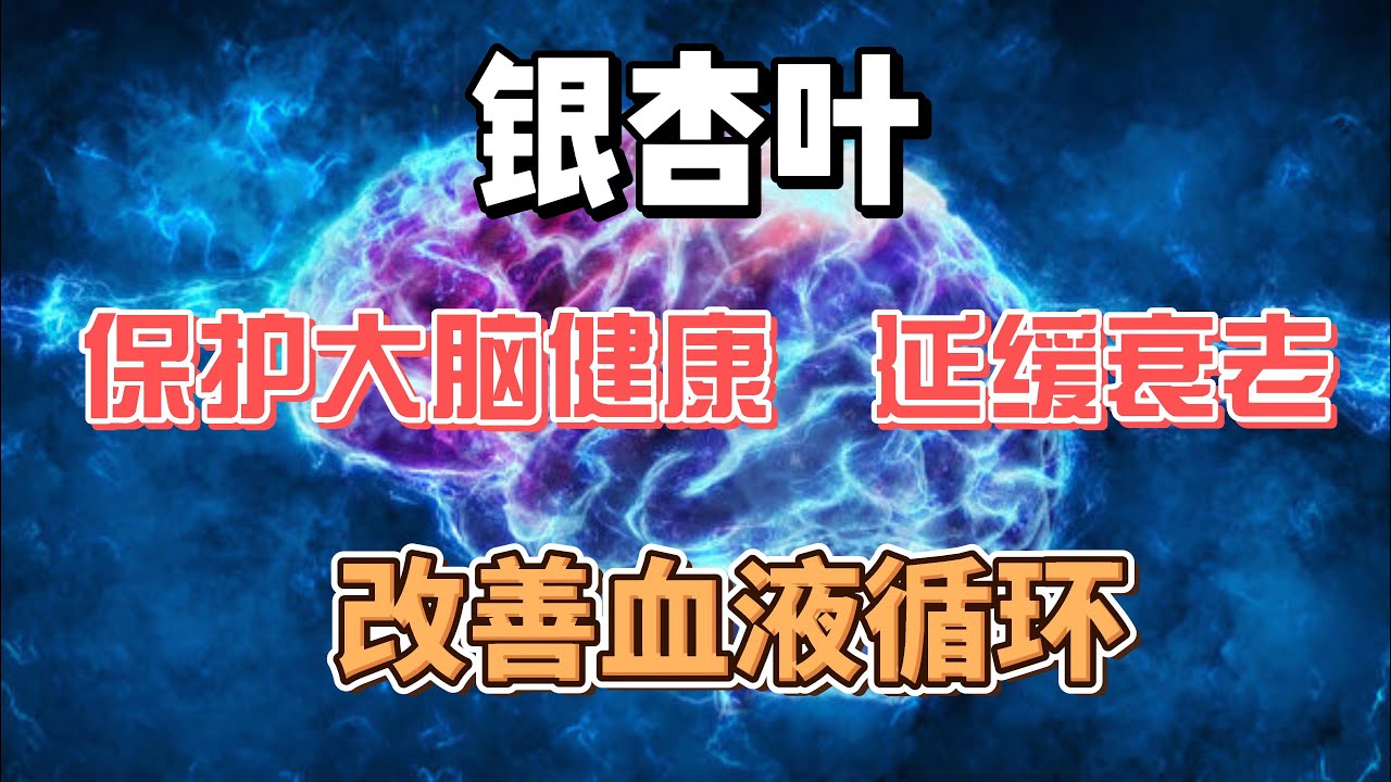 [大脑] 银杏叶能保护大脑健康 改善血液循环 Ginkgo biloba can protect brain health and & improve blood circulation