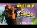 Junior Kelly & Dubtonic Kru - Hungry Days @ Rototom Sunsplash 2014 [8/20/2014]