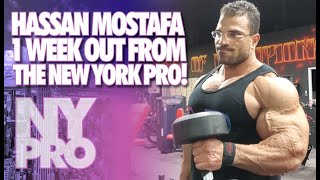 HASSAN MOSTAFA - 1 WEEK OUT FROM THE NEW YORK PRO!