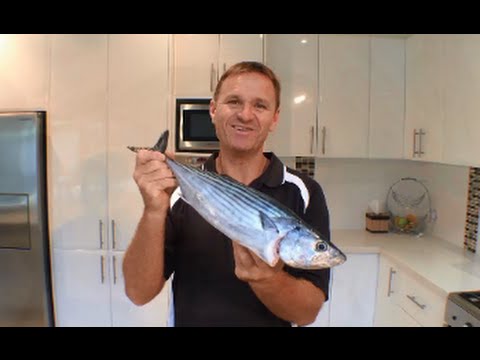 How to Cook Bonito | The Hook and The Cook