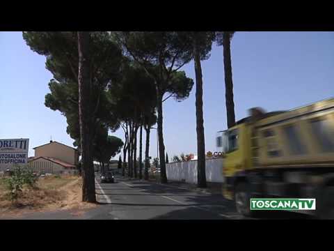 2017-08-02 PRATO - DOMANI VIA ALL'ABBATTIMENTO PINI IN VIA ROMA