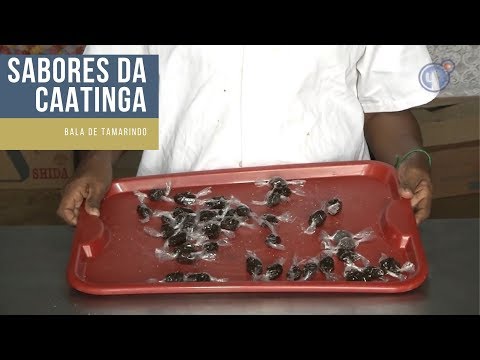 download lagu mp3 mp4 Bala De Tamarindo, download lagu Bala De Tamarindo gratis, unduh video klip Bala De Tamarindo
