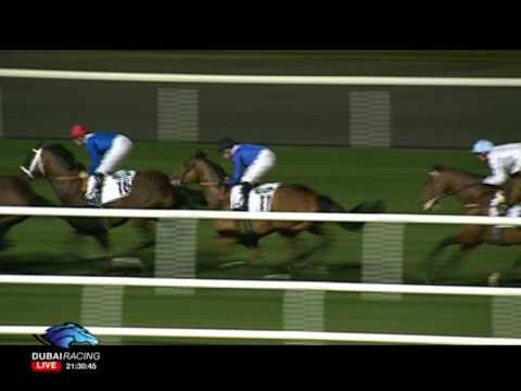 Race 6 - Range Rover Trophy