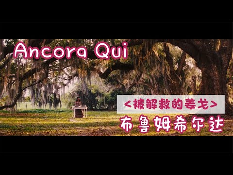Django Unchained - Ancora Qui 被解救的姜戈 布鲁姆希尔达