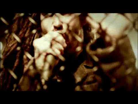 Shadows Fall - Still I Rise Offical Video
