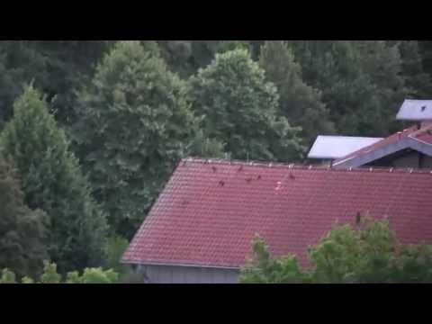 FunVideo: 1000de Vögel auf Hausdach erschreckt!!! :D