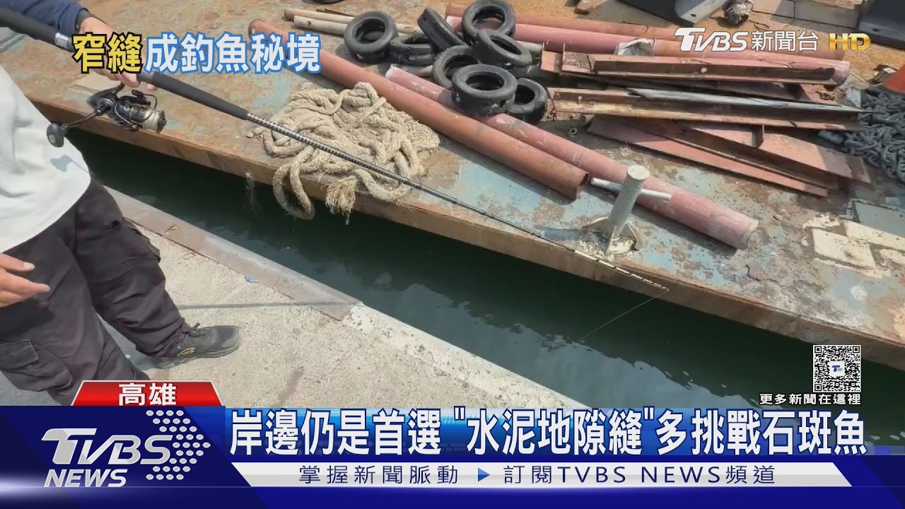 影音/夾縫中求上鉤? 釣客在「水泥地隙縫」竟釣到石斑