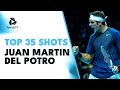Top 35 Juan Martin Del Potro Electric Shots ?