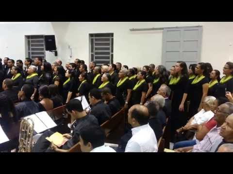 Peregrino Solitário - Coral de Casa Amarela 75 Anos