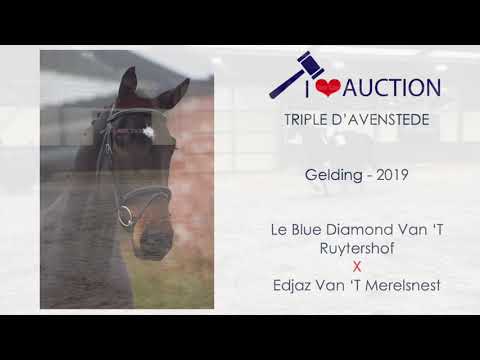 Triple d' Avenstede jumping 