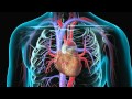 Pump It Up Heart Health Special Report KQED QUEST