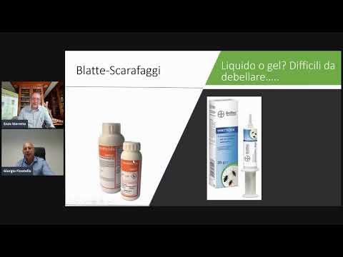 Parassitopolis - Il MicroMegaMondo ci insegna difenderci dai parassiti della casa.