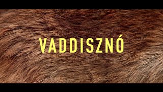Soerii & Poolek: VADDISZNÓ (Official Music Video)