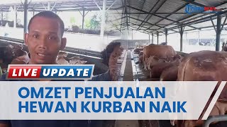 Berkah Iduladha 1444 H, Pedagang Hewan Kurban di Kota Bekasi Penjualannya Naik Hingga 25 Persen