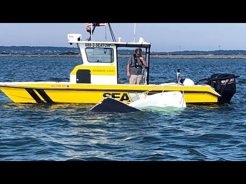 Three men rescued from Lynn Harbor after boat sinks