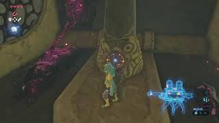 【スイッチ２で遊ぶ】無双やら【のんびりTEST】カクツキはこちらの環境です(テスト配信)