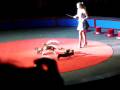 Ringling Brothers Boom A Ring Circus054 MOV
