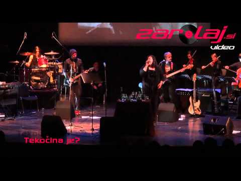 Vulture and the Guru - Predstavitev albuma "Tekočina" - 14.1.2011