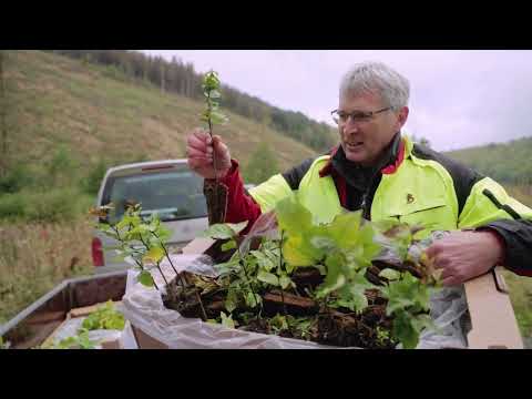 "Viele schaffen Mehr " (Many achieve more) | VR-NetWorld GmbH | Tyclipso GmbH