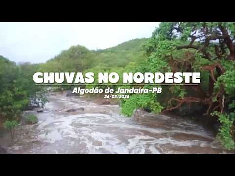 Chuvas no Nordeste  Algodão de Jandaíra – PB