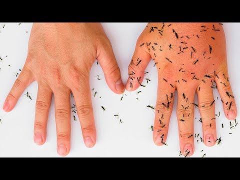 YouTube video about: How do I keep mosquitoes off my rabbits?
