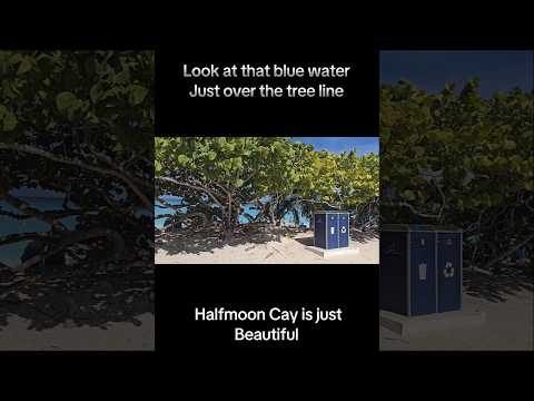 Thumbnail for Halfmoon Cay beautiful beach front. #cruise Carnival Freedom