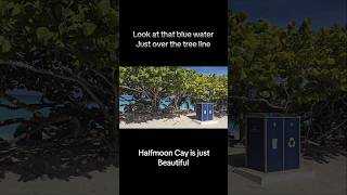 Halfmoon Cay beautiful beach front. #cruise Carnival Freedom