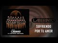 Laberinto- Sufriendo Por Tu Amor- [Audio Oficial]