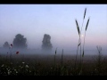 Pink Martini - Lullaby