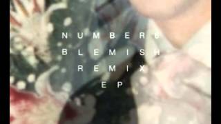 NUMBER6 - I Wish // Robyn Remix (BLEMISH REMIX EP)
