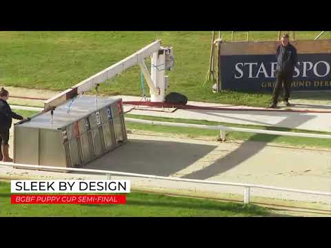 Sleek By Design - BGBF PUPPY CUP SEMI FINAL