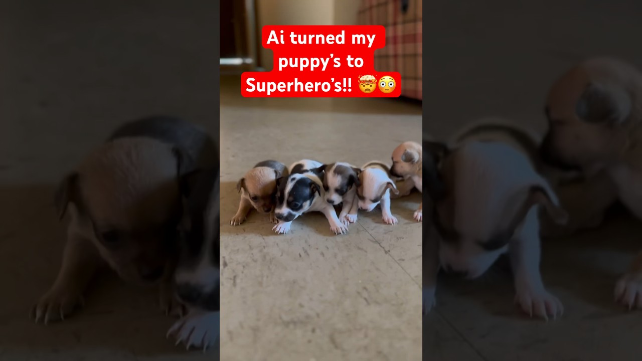 Using (Stable Diffusion) Ai Generated video on my puppies! 🐶🤯😮😳 #ai #stablediffusion #trending