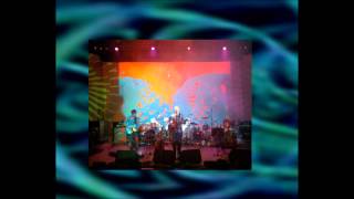 Robyn Hitchcock And His Heavy Friends 20070526