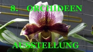 preview picture of video '8. Orchideenausstellung  Bingen am Rhein'