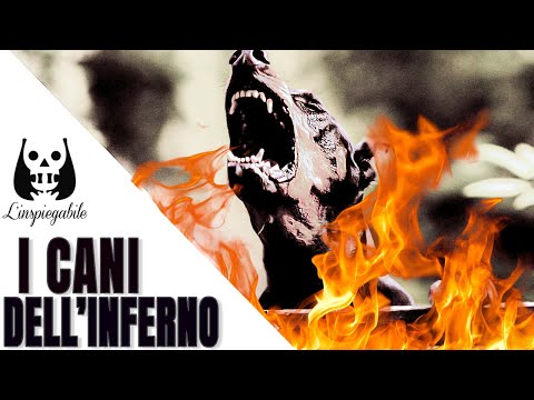 I CANI dell’INFERNO: 6 OSCURE LEGGENDE dall’ALDILÀ