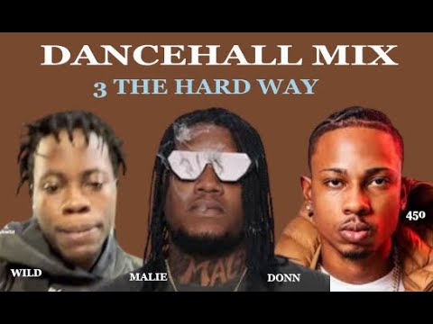 Malie Donn/Rajah wild/450/mix | three the hard way dancehall mixtape