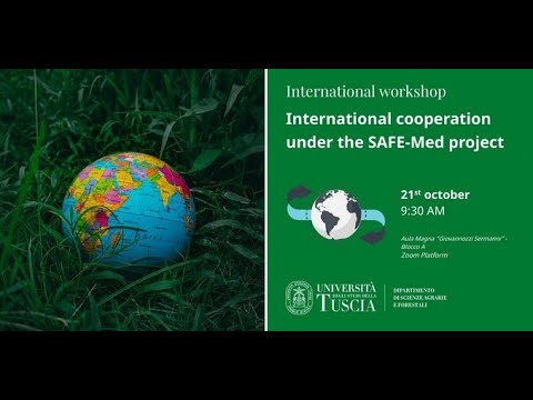 Cooperação internacional no âmbito do projeto SAFE-Med - Eduardo Virla