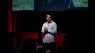 ¿Es posible hablar de sintiencia de las plantas? | Lucas Hinojosa-López | TEDxU Valpo Chile