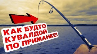 Ссылка