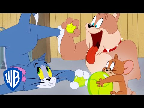 Tom & Jerry em Português | Brasil | A Esfera de Sonho de Tom | WB Kids