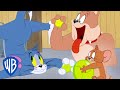 Tom Jerry Em Português Brasil A Esfera De Sonho De Tom WB Kids