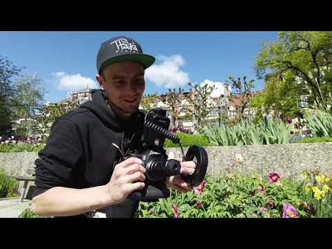 Extreme Macro Lenses: Canon MP-E65 vs. Venus Laowa 2.5-5X