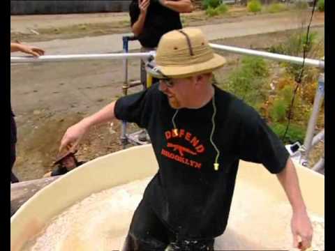 Mythbusters: Quicksand