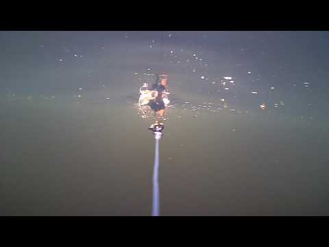 Savage Gear Duck Under Water Pike Attack