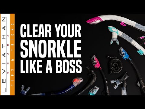 Clear Your Snorkle Like a Boss