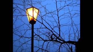 Biosphere - Poa Alpina