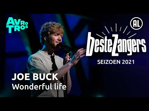 Joe Buck - Wonderful life | Beste Zangers 2021
