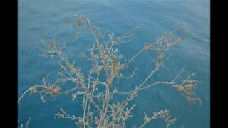 Cults - I Took Your Picture