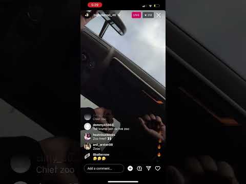 Thf BayZoo first live since being 🔒up