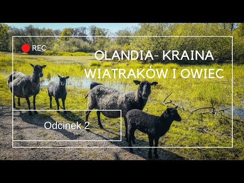 Skandynawia na dziko odc.2 Olandia- kraina wiatraków